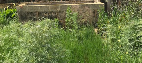 450m² Building in Campos, Spain No. 162542 5