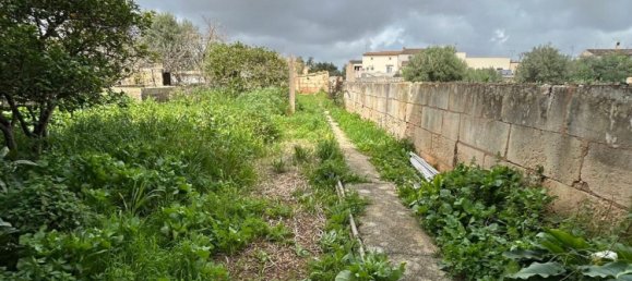 450m² Building in Campos, Spain No. 162542 28