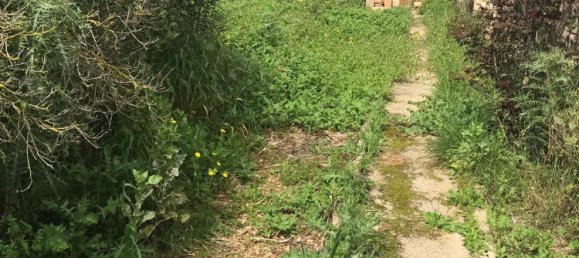 450m² Building in Campos, Spain No. 162542 4