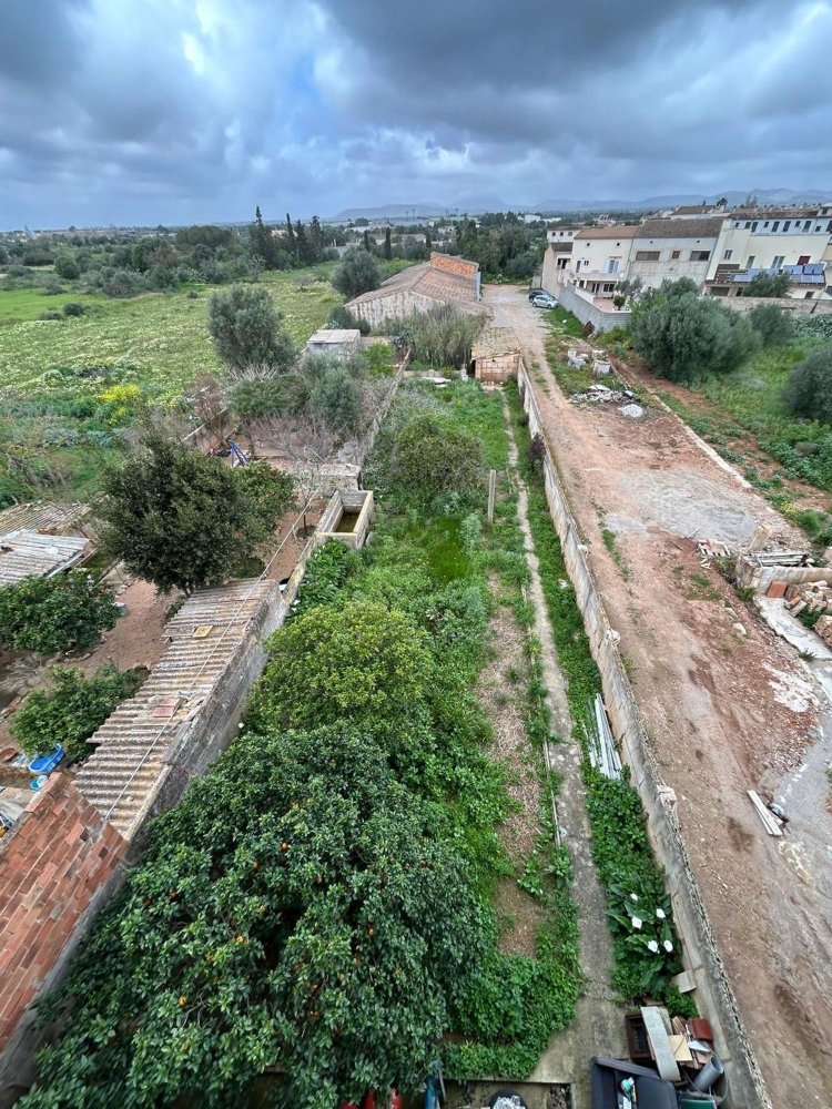 450m² Building in Campos, Spain No. 162542