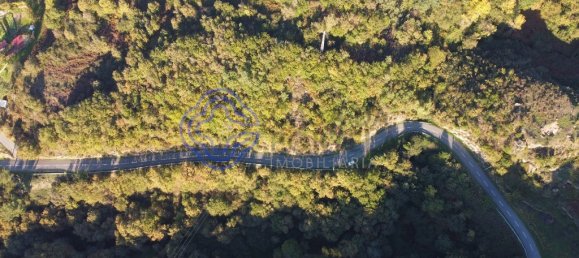 8713m² Land in Soalhaes, Portugal No. 56215 2