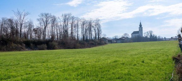 5 rooms Townhouse in Wals-Siezenheim, Austria No. 111680 7