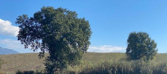 قطعة أرض في Genazzano, Italy 15000متر مربع رقم 116067 16