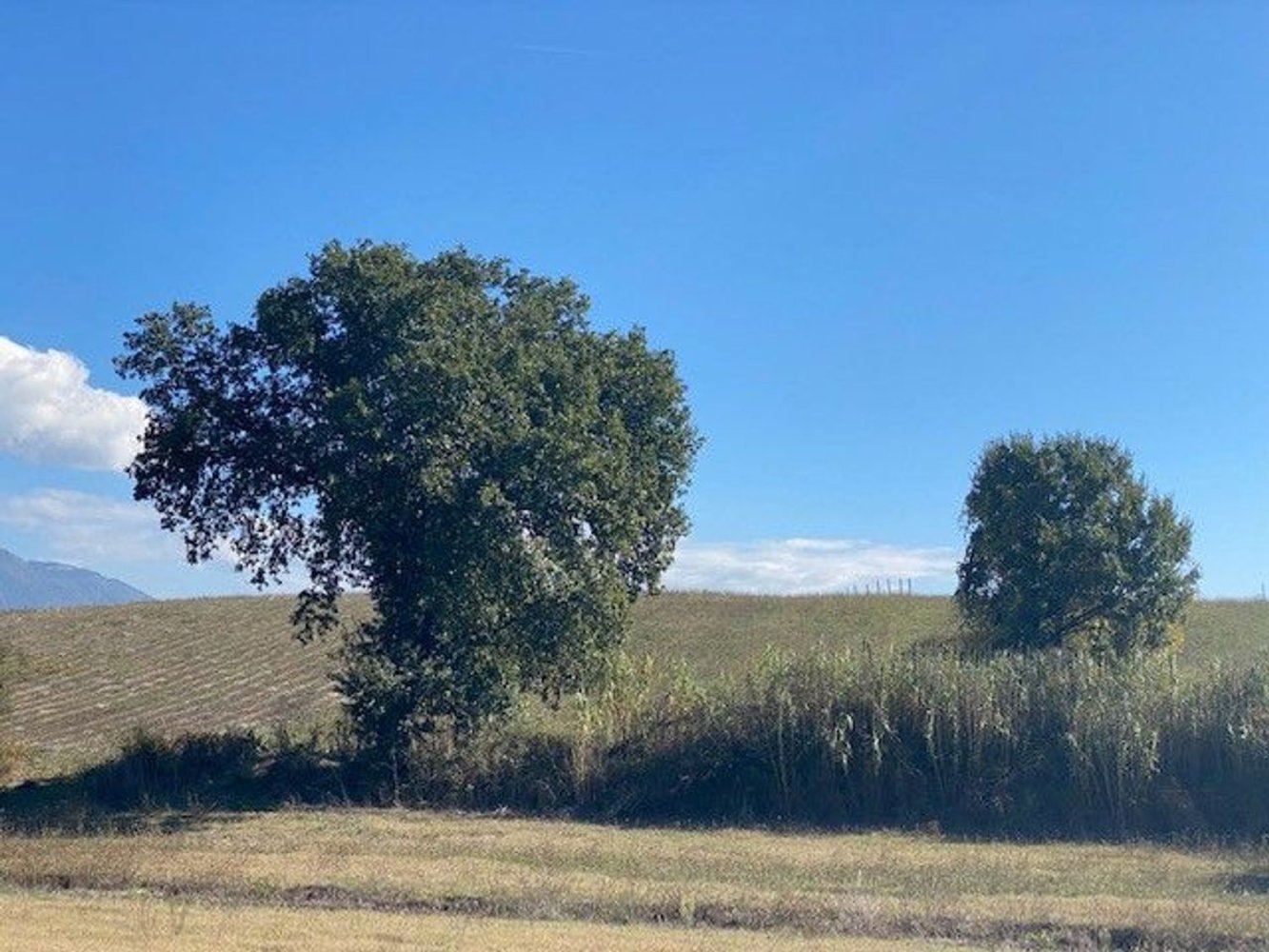  قطعة أرض في Genazzano, Italy 15000متر مربع رقم 116067