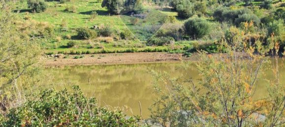 Земельный участок 50000м² в Сан Мауро Кастельверде, Италия № 57044 6