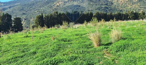 Земельный участок 50000м² в Сан Мауро Кастельверде, Италия № 57044 5