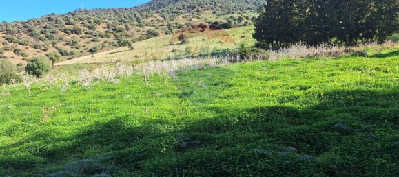 Земельный участок 50000м² в Сан Мауро Кастельверде, Италия № 57044 3