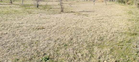450m² Land in Saint-Alexandre, France No. 98725 5