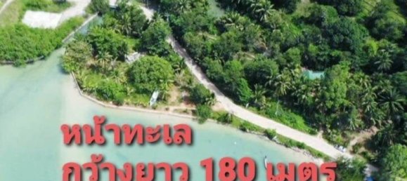  Commercial property in Bang Tao, Thailand No. 14442 4