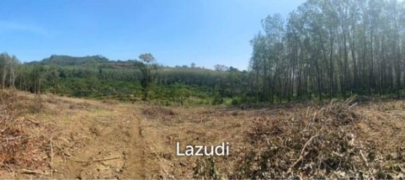  Commercial property in Pa Klok, Thailand No. 14322 4