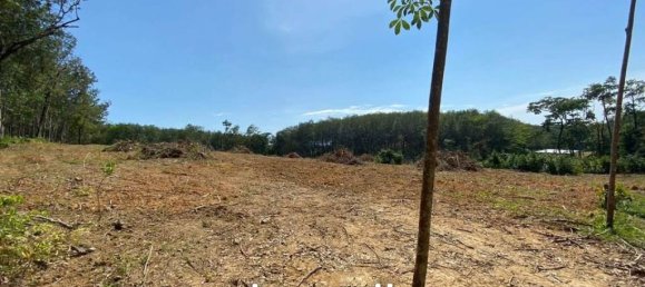  Commercial property in Pa Klok, Thailand No. 14322 3