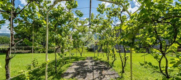 5 bedrooms Villa in Varano de' Melegari, Italy No. 206500 37