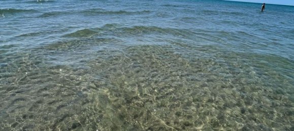 Propriété commerciale à Viareggio, Italy 3000m² No. 328569 13