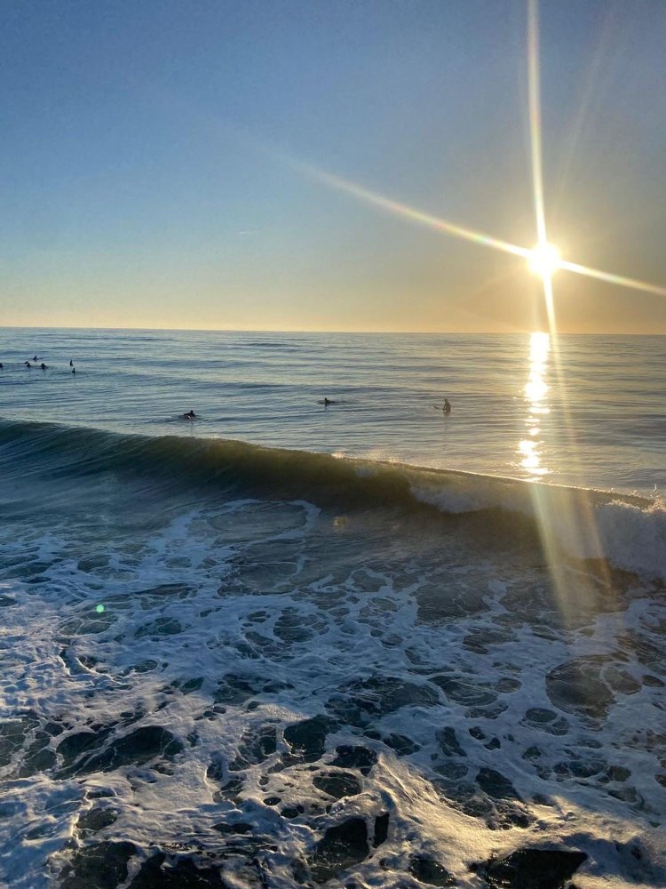 Propriété commerciale à Viareggio, Italy 3000m² No. 328569