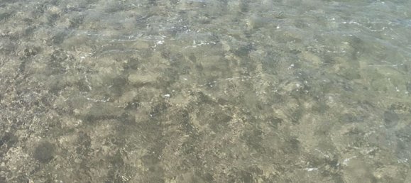 Propriété commerciale à Viareggio, Italy 3000m² No. 328569 12