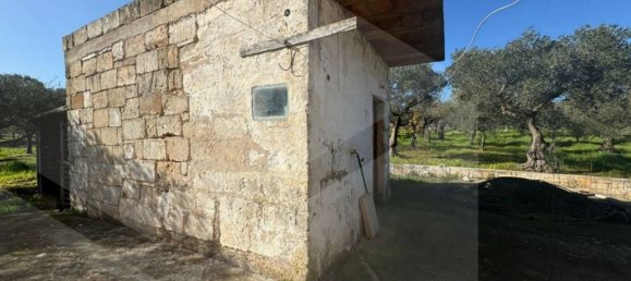 6غرفة فيلا في Monopoli, Italy رقم 20563 9