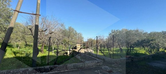 6غرفة فيلا في Monopoli, Italy رقم 20563 18