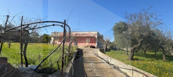 6غرفة فيلا في Monopoli, Italy رقم 20563 10