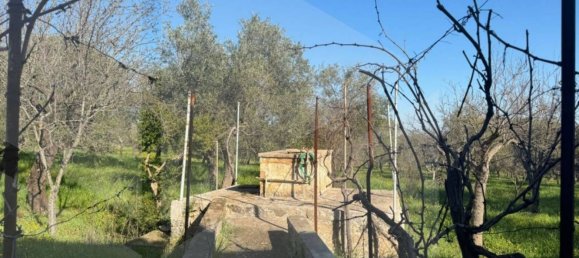 6غرفة فيلا في Monopoli, Italy رقم 20563 14