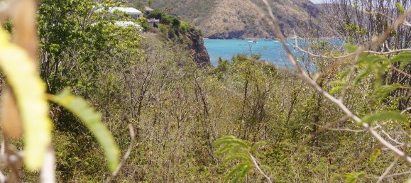 Отель, гостиница 21448.34м² в Бастер, Сент-Китс и Невис № 94 10