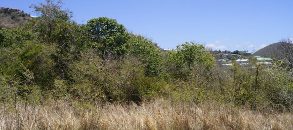 Отель, гостиница 21448.34м² в Бастер, Сент-Китс и Невис № 94 3