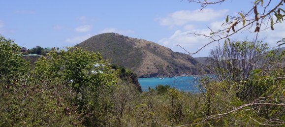 Отель, гостиница 21448.34м² в Бастер, Сент-Китс и Невис № 94 2