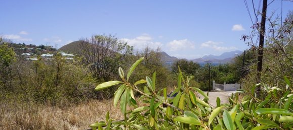 Отель, гостиница 21448.34м² в Бастер, Сент-Китс и Невис № 94 7