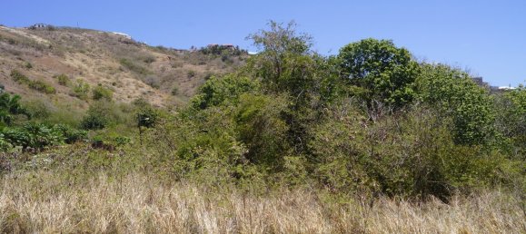 Отель, гостиница 21448.34м² в Бастер, Сент-Китс и Невис № 94 4