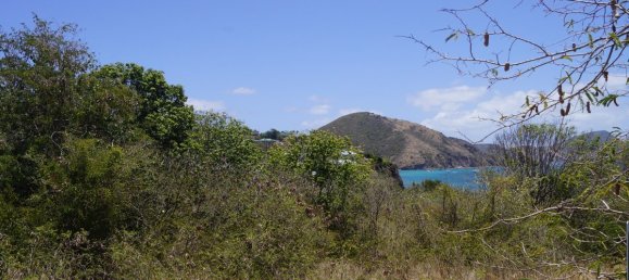 Отель, гостиница 21448.34м² в Бастер, Сент-Китс и Невис № 94 11