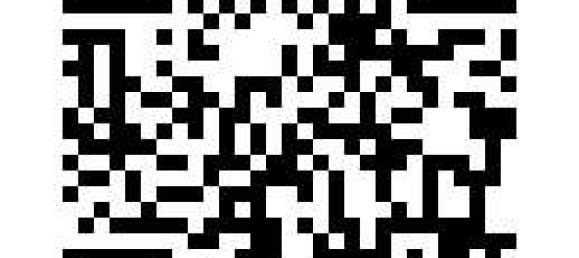 Terrain à Ostholstein, Germany No. 228214 11