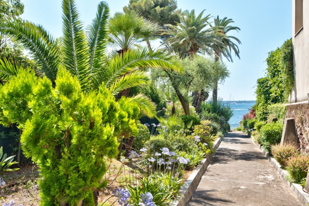 3 rooms Apartment in Cannes, France No. 344327