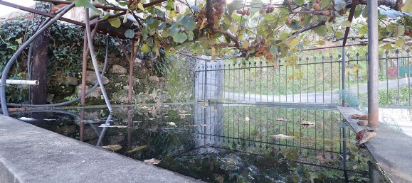 4 Schlafzimmer Haus in Chave, Portugal, Nr. 49429 16