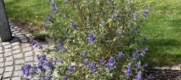 2 bedrooms Townhouse in Pfaffenhofen an der Ilm, Germany No. 334237 24