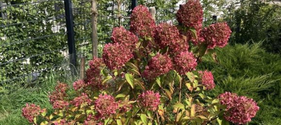 2 bedrooms Townhouse in Pfaffenhofen an der Ilm, Germany No. 334237 25