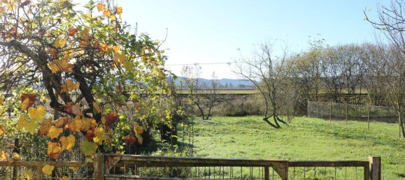 7 rooms House in Jennersdorf, Austria No. 115432 6