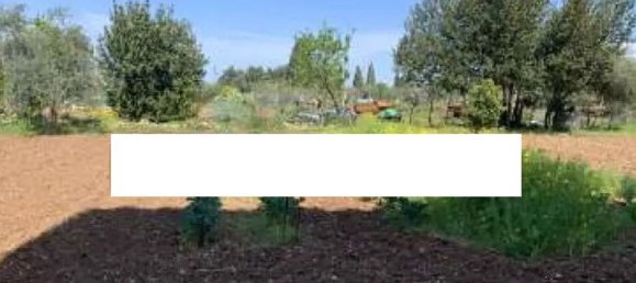 Terrain à Toritto, Italy No. 364683 2