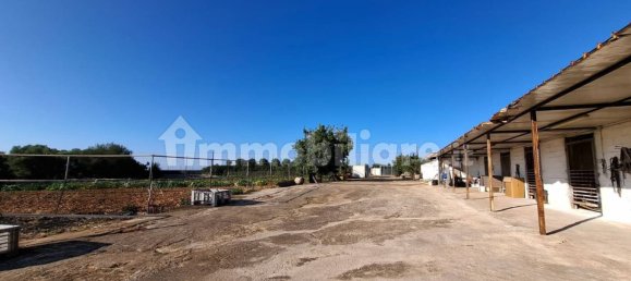 Дом с 7 спальнями в Конверсано, Италия № 305825 5