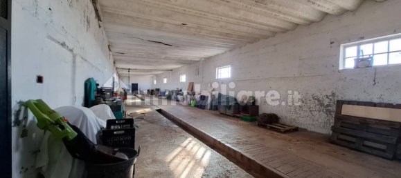 Дом с 7 спальнями в Конверсано, Италия № 305825 12