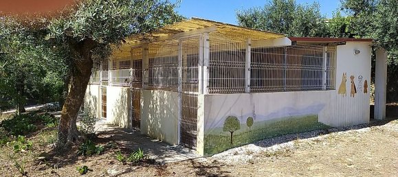 6 Schlafzimmer Haus in Ourem, Portugal, Nr. 168800 34