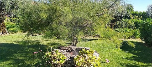 6 Schlafzimmer Haus in Ourem, Portugal, Nr. 168800 28