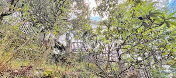 4 غرف نوم فيلا في Avegno, Italy رقم 297653 31