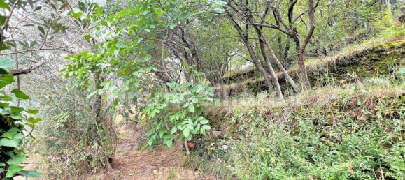 4 غرف نوم فيلا في Avegno, Italy رقم 297653 33