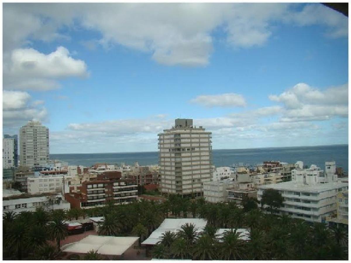 Studio in Maldonado, Uruguay No. 2146