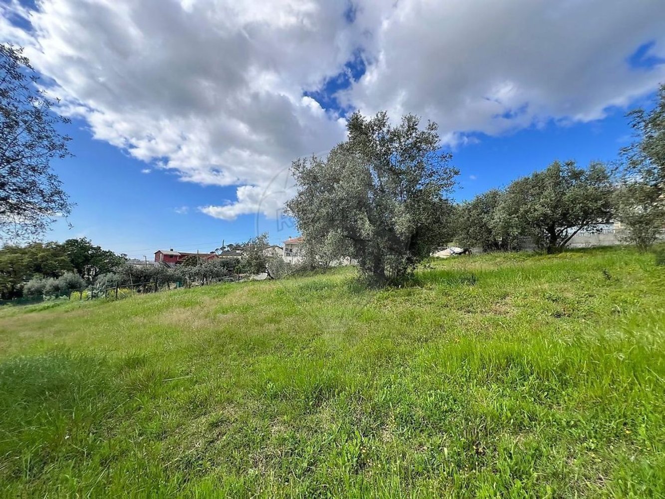  Land in Leiria, Portugal No. 349642