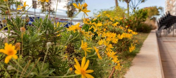 3 Schlafzimmer Wohnung in Santa Pola, Spain, Nr. 63870 48