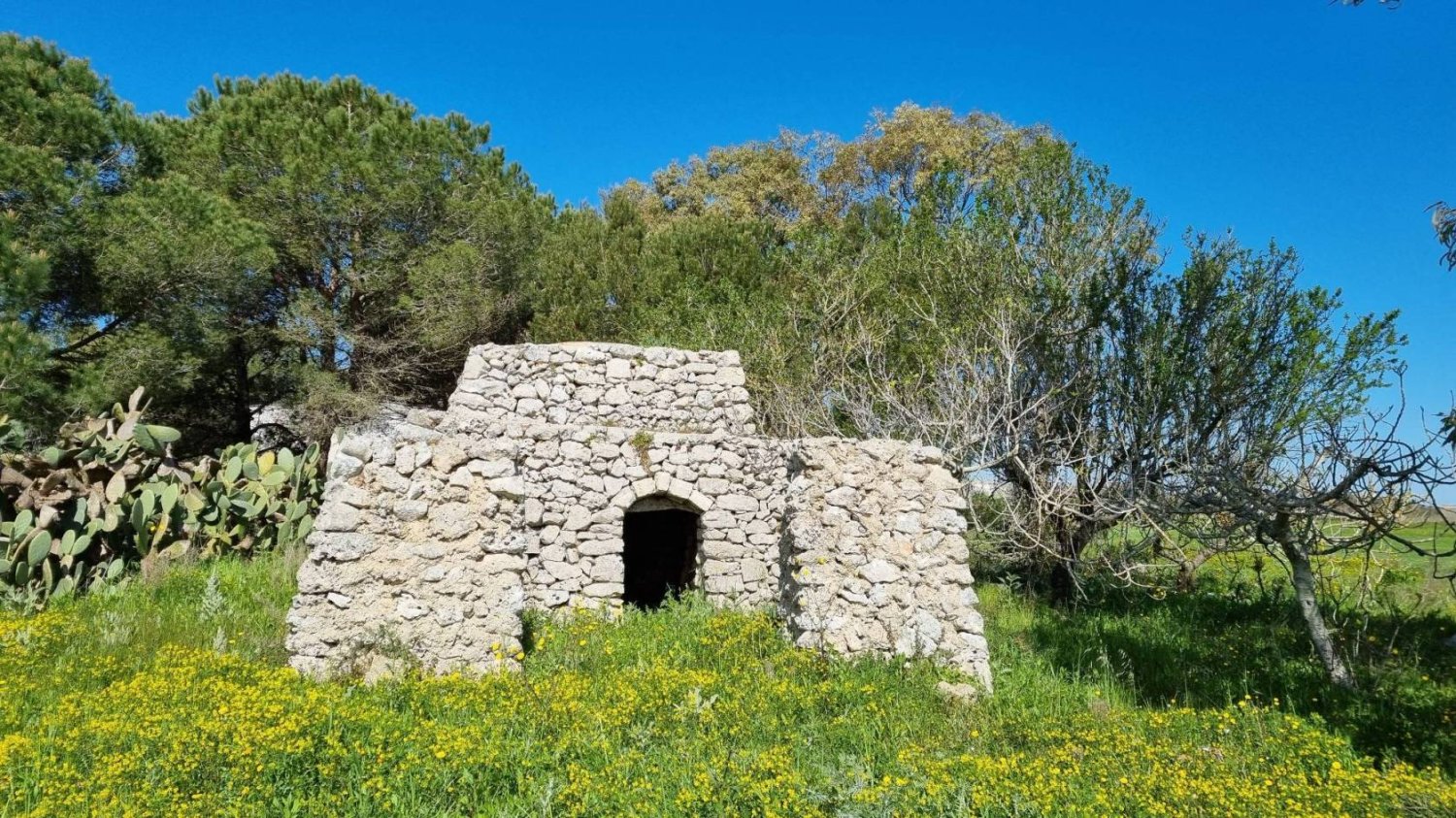 Земельный участок 22304м² в Tricase, Италия № 157832