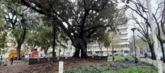 1 chambre Appartement à Lisbon, Portugal No. 153032 15