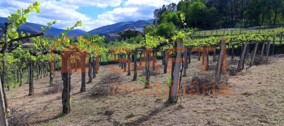 7 Schlafzimmer Haus in Cristoval, Portugal, Nr. 59138 19