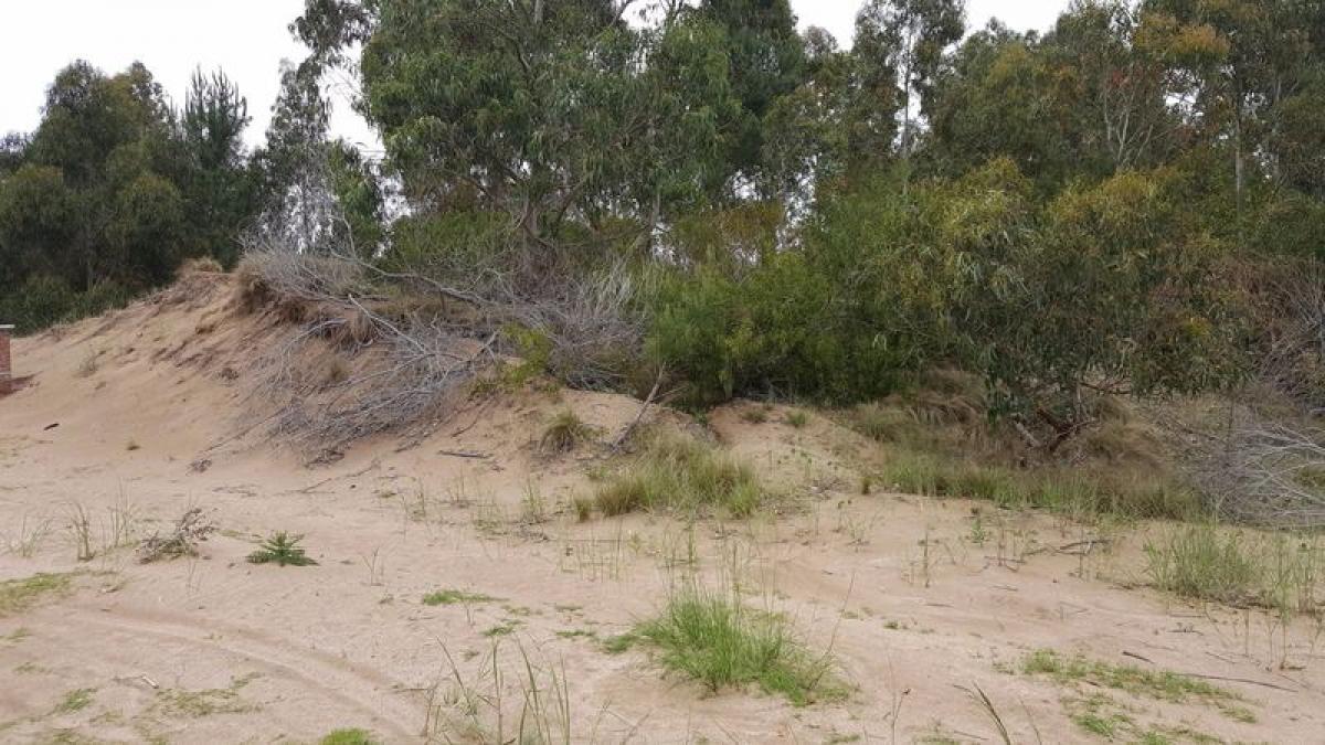 Grundstück in Mar del Plata, Argentina, Nr. 114893