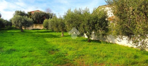 Terrain à Tortoreto, Italy 1075m² No. 112025 3